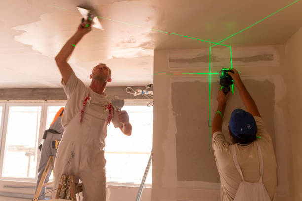 Best Drywall Sanding and Smoothing  in St Anthony, ID